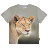 Molo Grey Lion Graphic T-Shirt