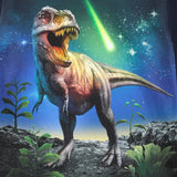 Molo Navy Reif Meteor Dino T-Shirt