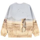 Molo Blue Reif Lion Family Sweatshirt