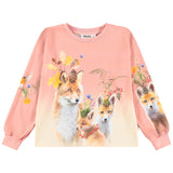 Molo Pink Fox Family Floral T-Shirt