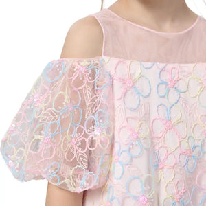 Embroidered-dress-multicolor98-365