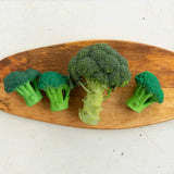 L-BROCCOLI-4