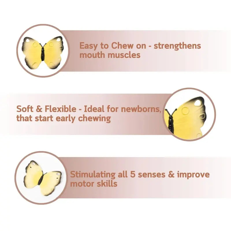 L-BUTTERFLY-VANILLA-2