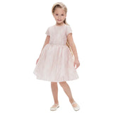 Lace-Sequins-Decorated-Dress-pale-pink86-337