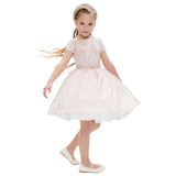 Lace-Sequins-Decorated-Dress-pale-pink86-338