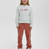 Choupette Grey Knitted Sweater