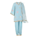 Rang Blue Roses Sharara Set