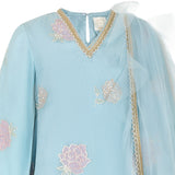 Rang Blue Roses Sharara Set