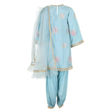 Rang Blue Roses Sharara Set