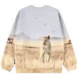 Molo Blue Reif Lion Family Sweatshirt