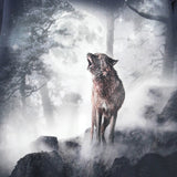 Molo Navy Wolf Sweatshirt