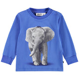 Molo Blue Elephant Print Sweatshirt