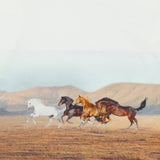 Mayoral Multicolor T-Shirt