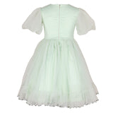 Stella Rossa Mint Green Floral Embroidered Party Dress