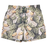 Dolce & Gabbana Multicolor Cactus Print Bermuda Shorts