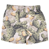 Dolce & Gabbana Multicolor Cactus Print Bermuda Shorts