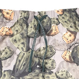 Dolce & Gabbana Multicolor Cactus Print Bermuda Shorts