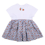 Dolce & Gabbana Floral-Print Dg Embroidery Dress In Jersey And Poplin