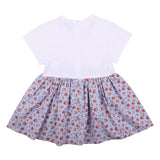 Dolce & Gabbana Floral-Print Dg Embroidery Dress In Jersey And Poplin