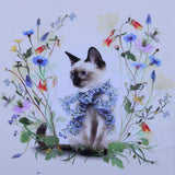 Molo Off-White Siamese Cat & Wildflower T-Shirt