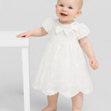 Choupette Chiffon Smart Dress
