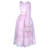 Rang Soft Pink Embroidered Lehenga Choli Set