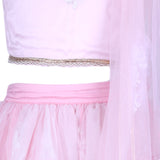 Rang Soft Pink Embroidered Lehenga Choli Set