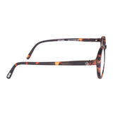 Izipizi Brown Frame Sunglasses