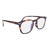 Izipizi Brown Summer Sunglasses