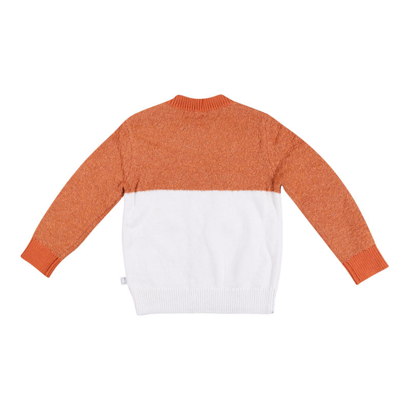Boys Orange Fox Sweater