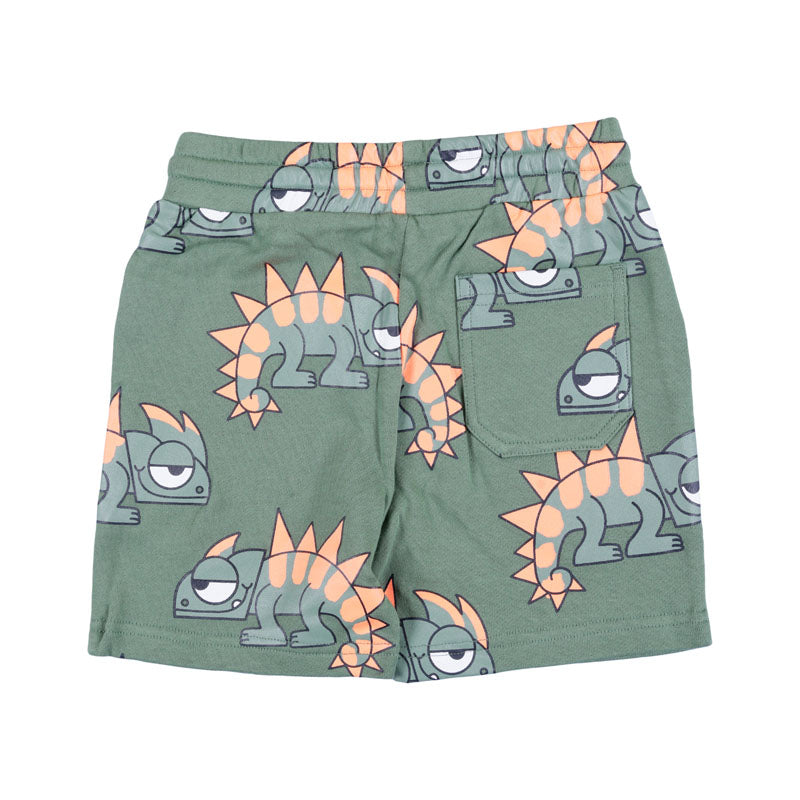 Graphic Print Swim Shorts