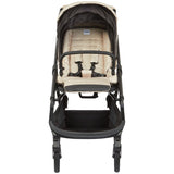 Fendi Pram Cum Stroller With Brand Name Print
