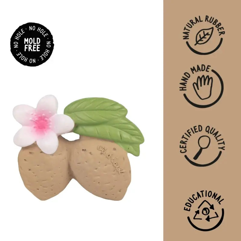 L-ALMOND-1
