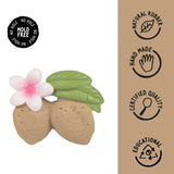 L-ALMOND-1