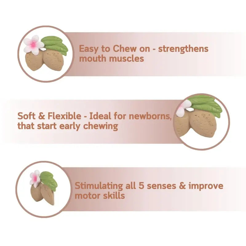 L-ALMOND-3