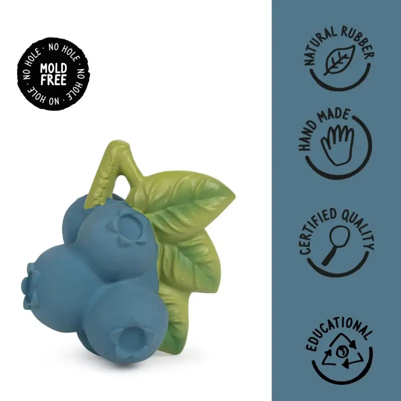 L-BLUEBERRY-1