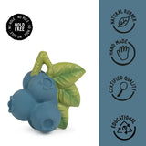 L-BLUEBERRY-1