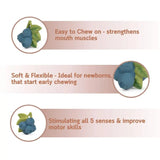 L-BLUEBERRY-3