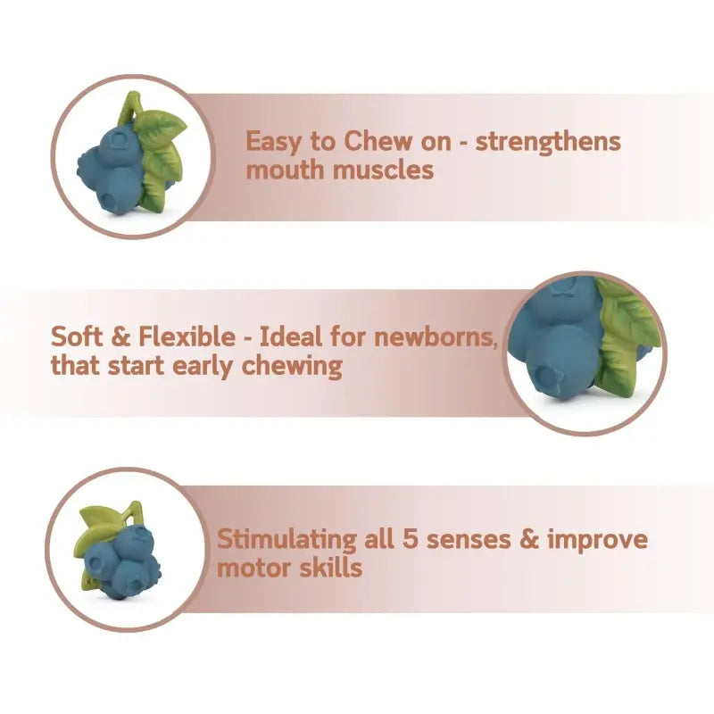L-BLUEBERRY-3