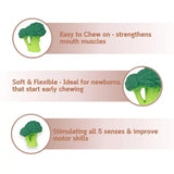 L-BROCCOLI-3