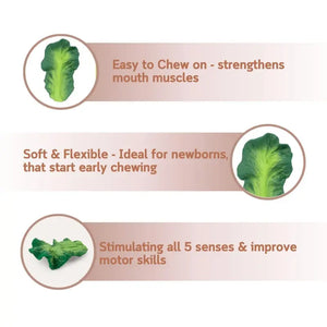 L-KALE-3
