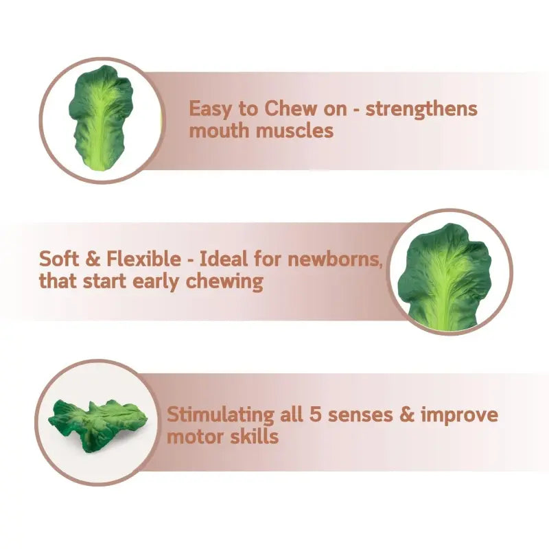 L-KALE-3