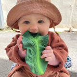L-KALE-4