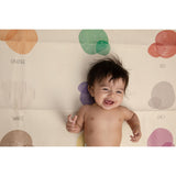 Japa Colours Mess Master