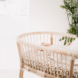 The Inside Project Honeybear Changing Table With Organizer