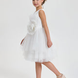 Choupette Elegant Hourglass Dress