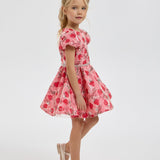 Choupette Beautiful Dress With Strawberry Print