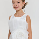 Choupette Elegant Hourglass Dress