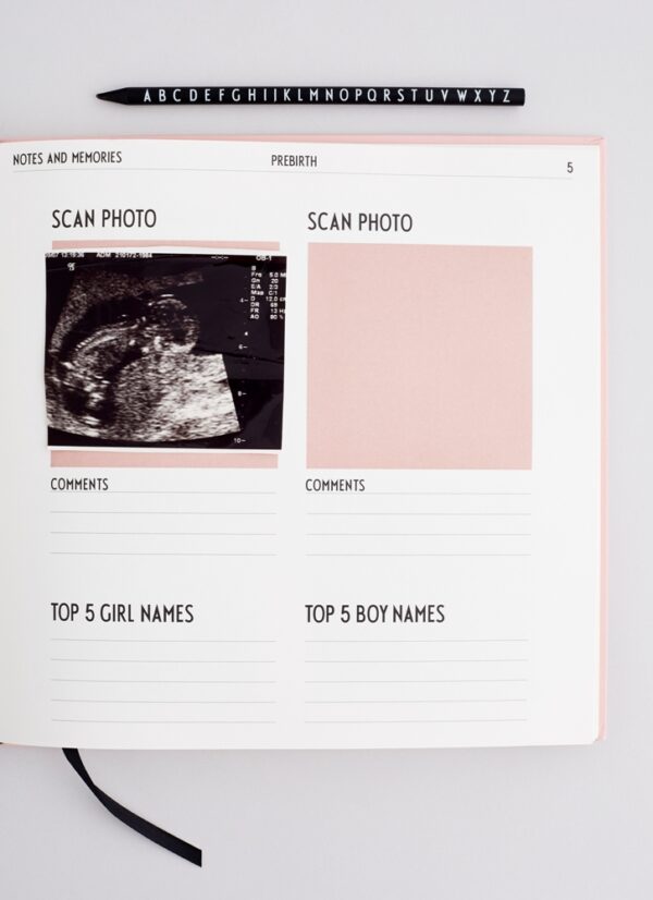 Baby's First Book - NUDE